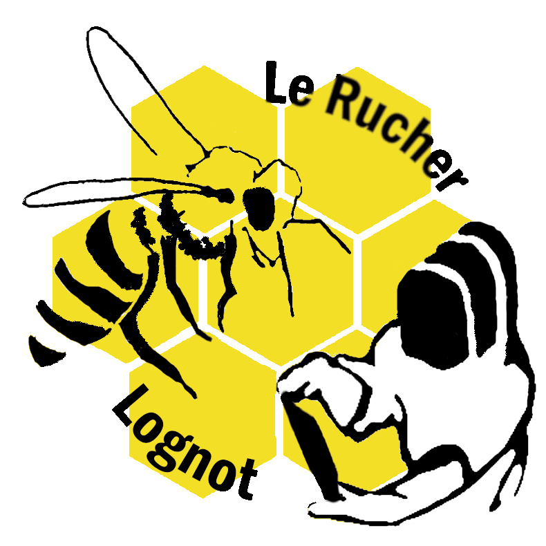 Logo Ruche lognot